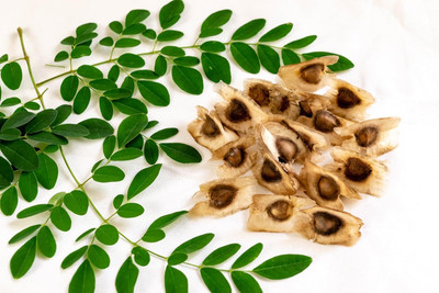 Qualtivate RES-3A PKM1 Drumstick Moringa Oleifera Seeds Seed(50 per packet)