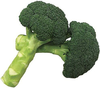 WILLVINE VVI-312 Green Magic Hybrid Broccoli Seeds Seed(200 per packet)