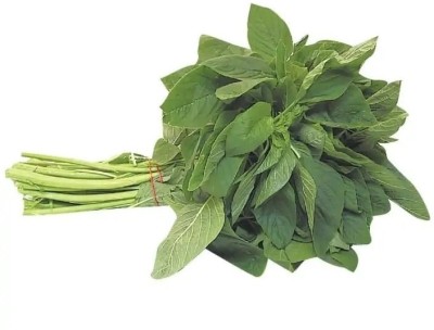 Quentova Green Amaranth green leafy vegetable-VXI Seed(400 per packet)