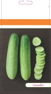 Qualtivate ICRA-2A Cucumber F1 Hybrid Seeds Seed(300 per packet)