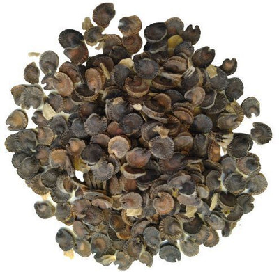 jkfarm Hollyhock Flower Seed(50 per packet)