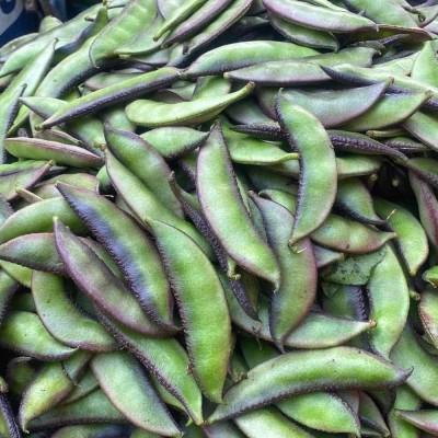 BDSresolve Runner Beans Hybird Seeds Pack of 27 Seed(27 per packet)