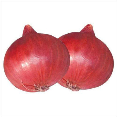 KNESSiN ONION NASIK RED SEEDS Seed(300 per packet)