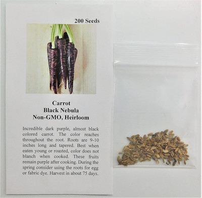 CYBEXIS PUAS-43 - Carrot Black Nebula (Purple) - (2250 Seeds) Seed(2250 per packet)