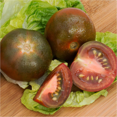 Qualtivate PUAS-7A Black From Tula Tomato Seed(300 per packet)