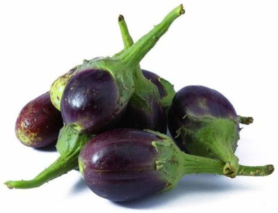 VibeX PUAS-94 - Brinjal Cluster Small Eggplant - (450 Seeds) Seed(450 per packet)