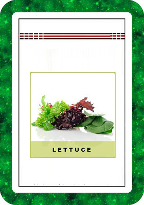 CYBEXIS Mix Lettuce4000 Seeds Seed(4000 per packet)