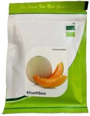 VibeX PAU-45 - Hara Madhu Kharbuj / Musk Melon - (150 Seeds) Seed(150 per packet)