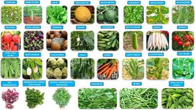 CHILLATAI 30 Variety Combo Vegetable Seeds Pack Best Collection for Garden Seed(7230 per packet)