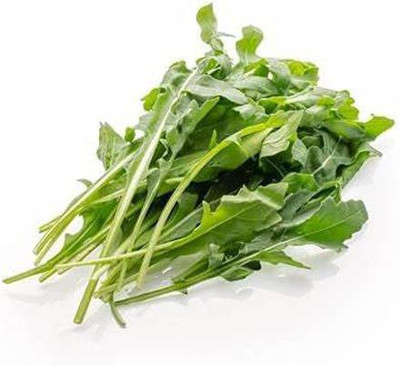 CYBEXIS F1 Hybrid Arugula Seeds2800 Seeds Seed(2800 per packet)