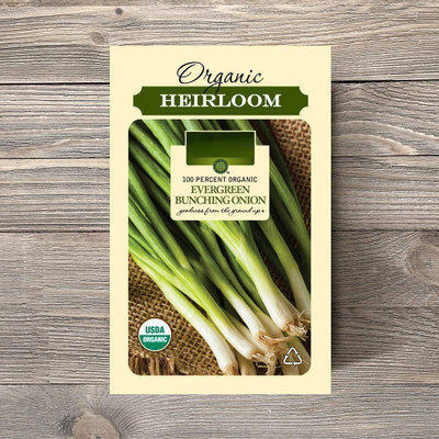CYBEXIS NDIR-51 - Evergreen Bunching Onion Green - (4500 Seeds) Seed(4500 per packet)