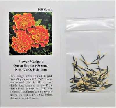 VibeX LXI-73 - Marigold Queen Sophia(Orange) - (750 Seeds) Seed(750 per packet)