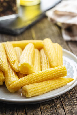 WILLVINE SCI -IV Japanese Baby Corn Seeds-[500g] Seed(2000 per packet)