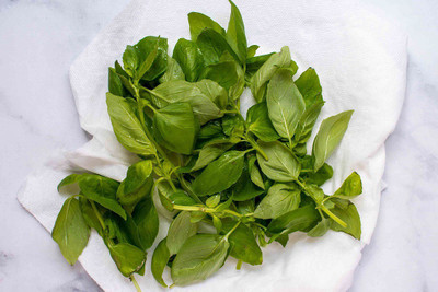 VibeX ® VLR-20 French thin leaf basil Seed(1000 per packet)