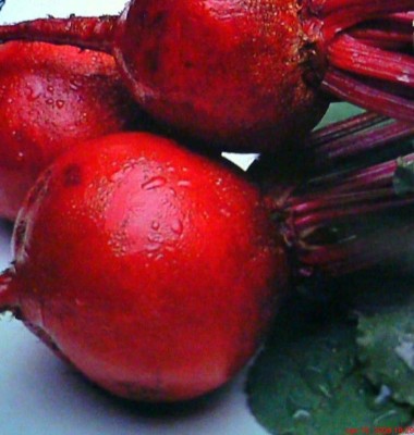 CYBEXIS Heirloom Beetroot Seeds Detroit500 Seeds Seed(500 per packet)