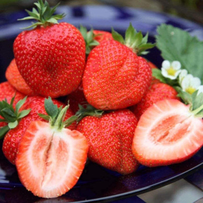 KNESSiN Strawberry Seed(150 per packet)