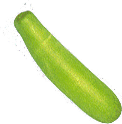 VibeX ® RXI-100 Bottle Gourd Dudhi Sorakaya Lauki Seeds Calabash Seed(50 per packet)
