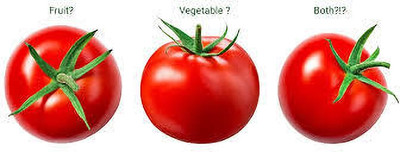 XOLDAA hybrid f1 quality tomato seeds Seed(60 per packet)