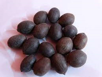 LPR LOTUS,KAMAL Seed(10 per packet)