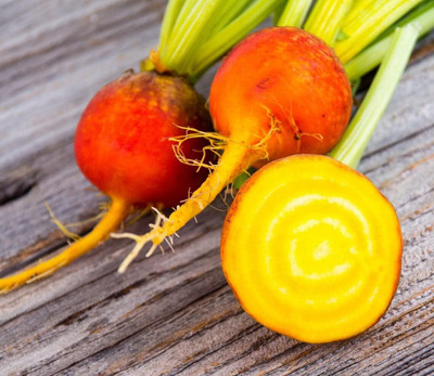 Biosnyg Golden Yellow Beetroot-300 Seeds/5gm Seed(300 per packet)