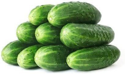 VibeX NBIR-59 - Straight Eight Cucumber - (450 Seeds) Seed(450 per packet)