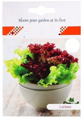 CYBEXIS Exotic Lettuce Mix Hybrid Seeds4000 Seeds Seed(4000 per packet)