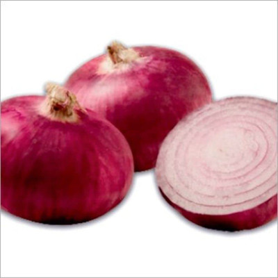 VibeX ® VLR-1015 F1 Hybrid Onion Red Nashik Seed(1000 per packet)