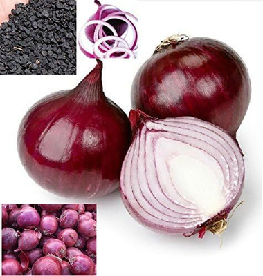 KNESSiN Spring Onion Red Seed(200 per packet)