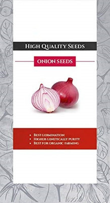 Qualtivate PUA-2A Vegetable Onion Seed(500 per packet)