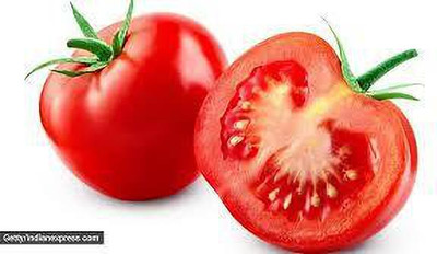 XOLDAA hybrid f1 quality tomato seeds Seed(20 per packet)