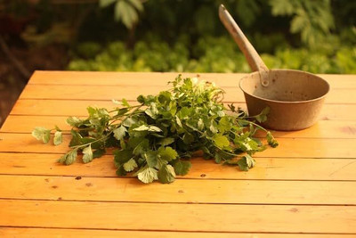 Aywal Duck-Tongue Mexican Coriander Seed(800 per packet)