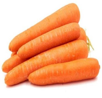 VINSIN नारंगी गाजर Orange Carrot Seed(500 per packet)