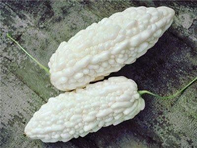 Qualtivate RES-6A White Bitter Gourd Vegetable Seeds Seed(50 per packet)