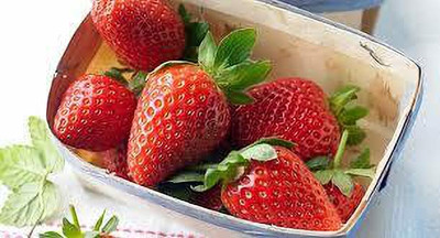 XOLDAA F1 HYBRID best quality strawberry fruit seeds Seed(101 per packet)