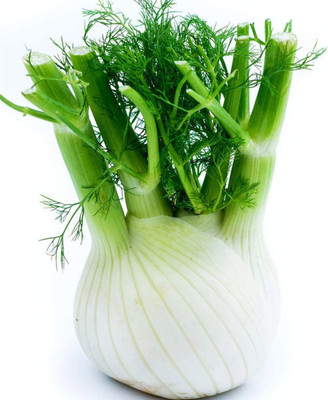 CYBEXIS Fennel Seeds Non-GMO Heirloom Seeds700 Seeds Seed(700 per packet)