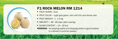 VibeX F1 ROCK MELON RM 1214(200 Seeds) Seed(200 per packet)