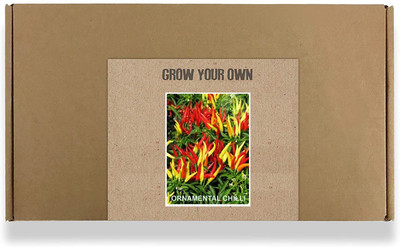 CYBEXIS Ornamental Chilli Flower Seeds400 Seeds Seed(400 per packet)