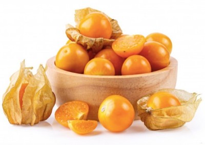 Quentova Cape Gooseberry Little Lanterns Seed(100 per packet)