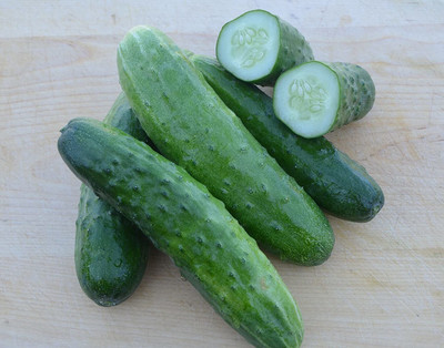 Avysa Slicing Cucumber,Heirloom Seeds-CuC_1189 Seed(250 per packet)