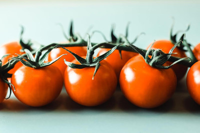 KNESSiN Heat Tolerant Golden Cherry Tomato Summer Seeds For Planting - (400 Seeds) Seed(400 per packet)