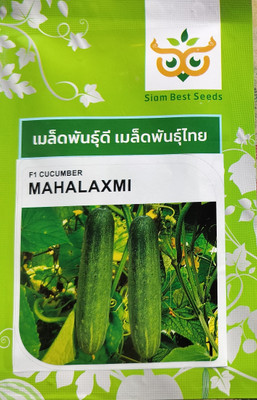 Cloud Farm 10g mahalaxmi cucumber seeds highest yield variety early fruiting Seed(1 per packet)