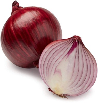 KANAYA Dark Red Onion High Germination Home And Garden Seed(70 per packet)