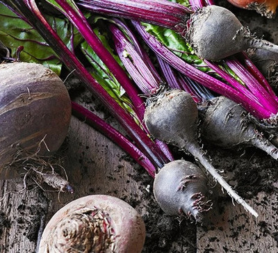 MYLAWN Organic Red Beetroot Seed(2000 per packet)