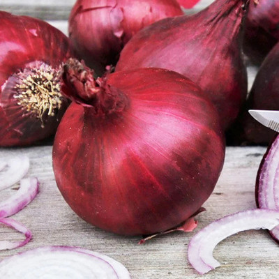 Avysa Onion Red Baron Rare Seed(200 per packet)