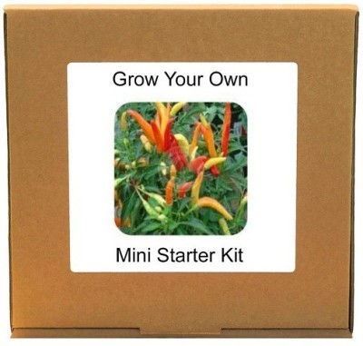 CYBEXIS Ornamental Chilli2400 Seeds Seed(2400 per packet)