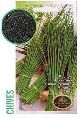 KNESSiN Chives Seed(200 per packet)