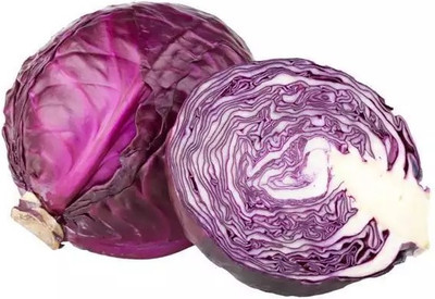 MYLAWN Purple Red Cabbage Seed(500 per packet)