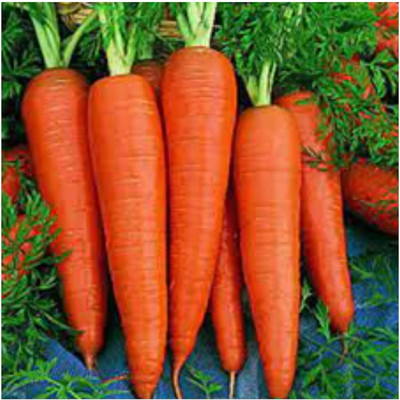 Aywal Carrot Hybrid Seed(50 per packet)