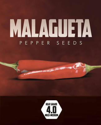 Biosnyg Hot Brazilian Malagueta Pepper Seeds for Terrace Gardening-(1000 Seeds) Seed(1000 per packet)