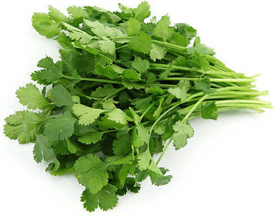 EKAKSHAR CORIANDER Seed(40 per packet)